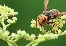 M6体育下载-欧预赛卫冕冠军再遭困扰，能否逆转？的简单介绍