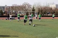 M6体育下载-赛程紧凑节奏激烈,各队实力翻盘夺冠机会是什么